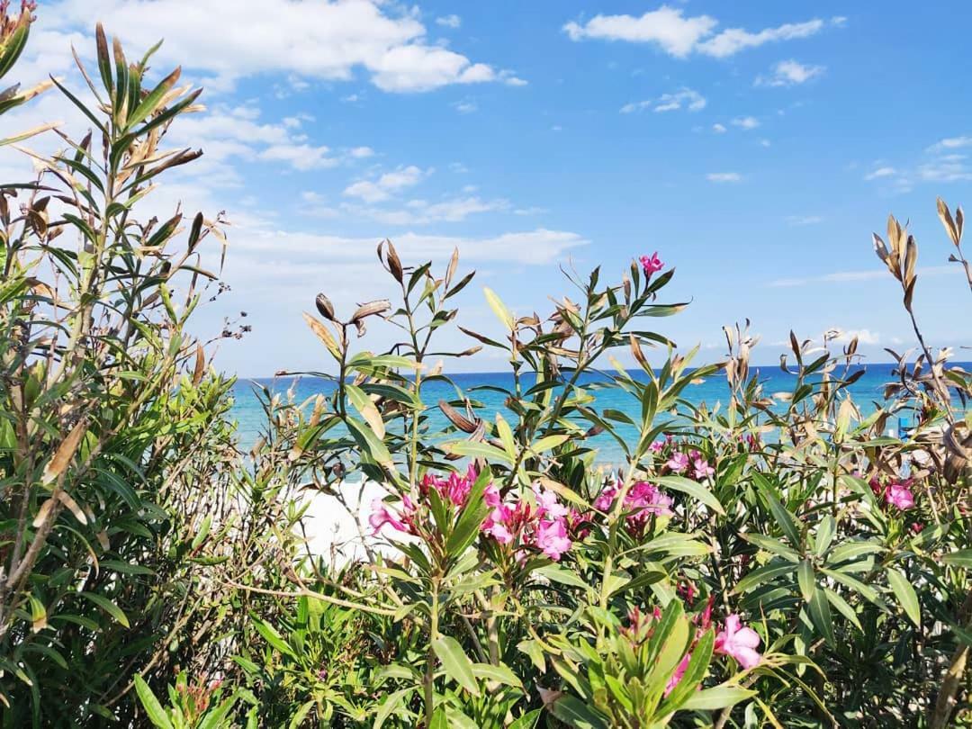Overlookingsea Lido di Noto Exterior photo